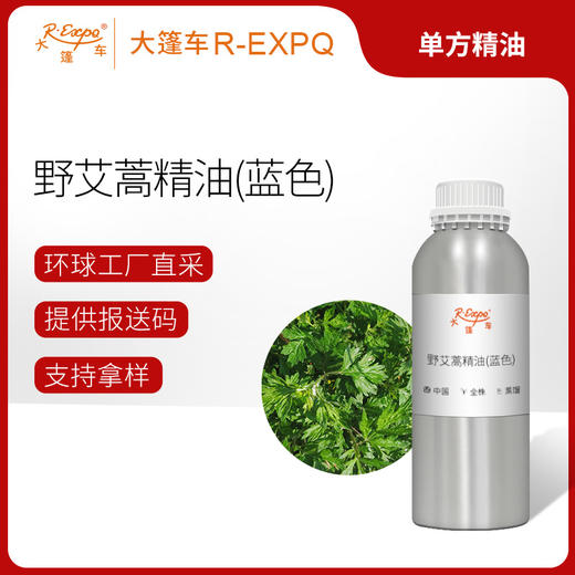野艾蒿精油（蓝色）Artemisia Lavandulaefolia 原料批发芳疗护理 商品图0