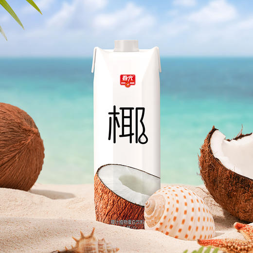 1L春光椰汁*2瓶  过年家庭聚餐大瓶饮料 商品图1