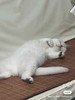 恶趣味当前温度人情味导入 商品缩略图0