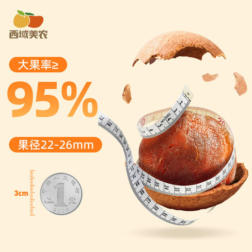 【FX】西域美农桂圆干500g   商品图3