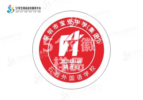 定制深圳市宝安中学（集团）石岩外国语学校熨烫校徽服姓名51 商品图2