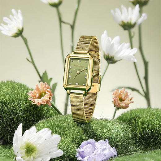 【情人节礼物】小CK新款简约ins风女士防水手表 商品图1