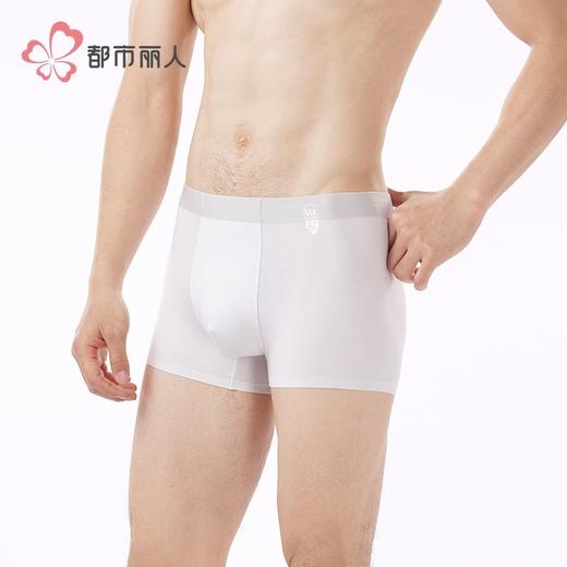 都市丽人男士内裤桑蚕丝混纺内裤贴合内裤平角内裤男内裤FKHH16 商品图2
