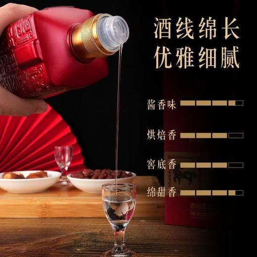  买3送3实发6瓶【醇香绵密，送礼收藏佳品】浏阳河酒 53度酱香型白酒整箱礼盒装送礼SA 商品图3