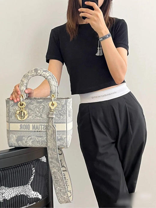 Dior 灰色 五格  刺绣老花 动物园系列 戴妃包 商品图3