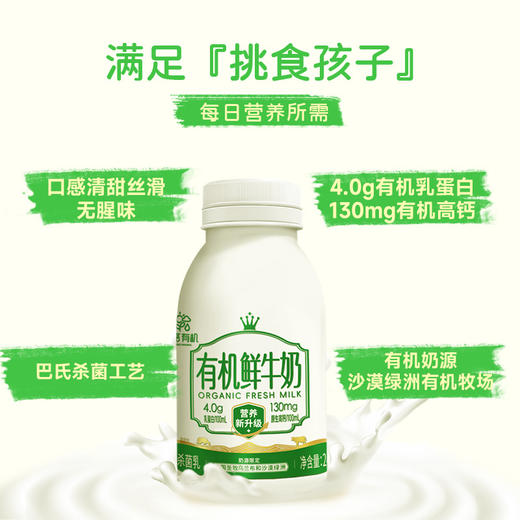 初酪有机鲜牛奶 内蒙古奶源顺丰冷链240g*8瓶 商品图2