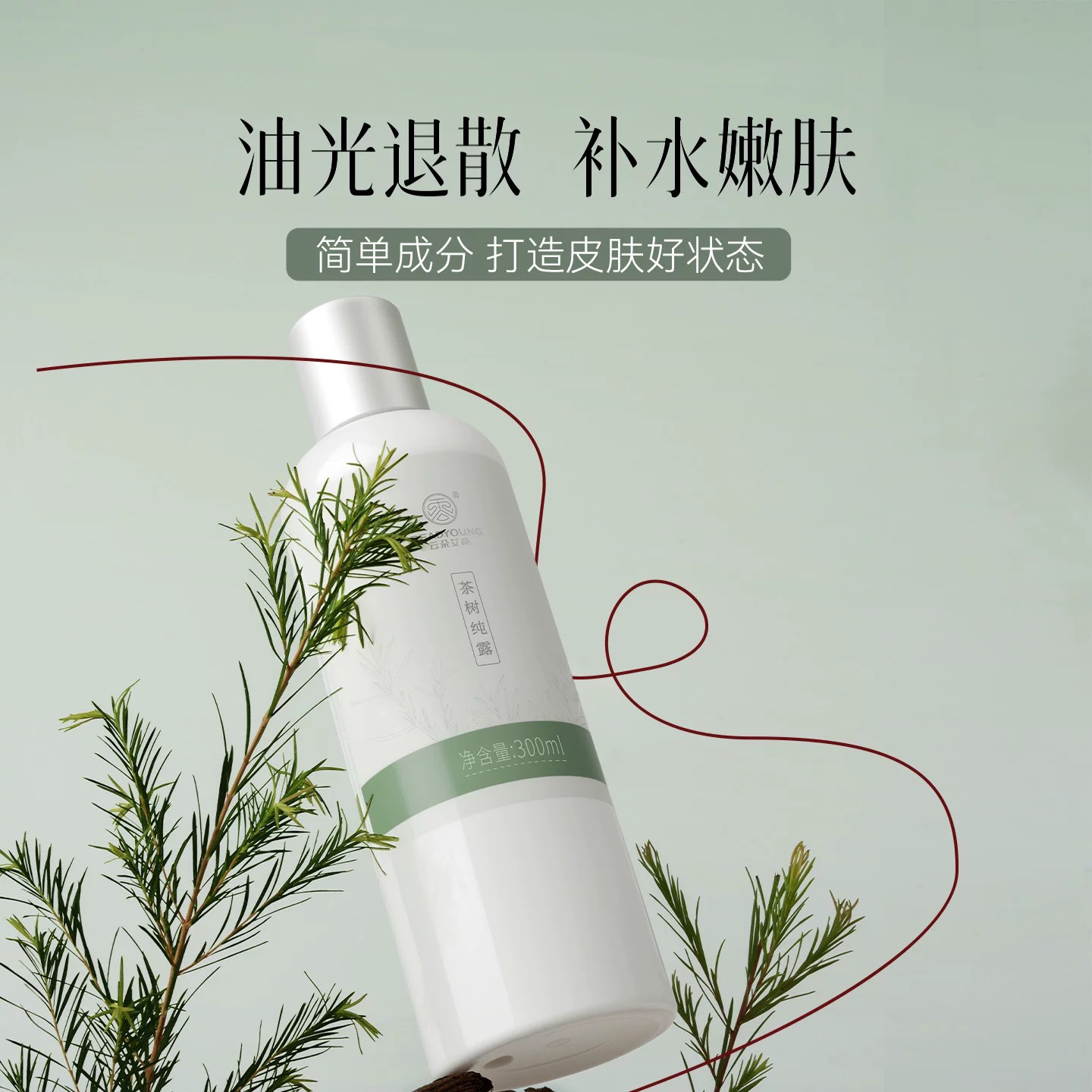 上新！茶树纯露 「单瓶」300ml 草本护肤