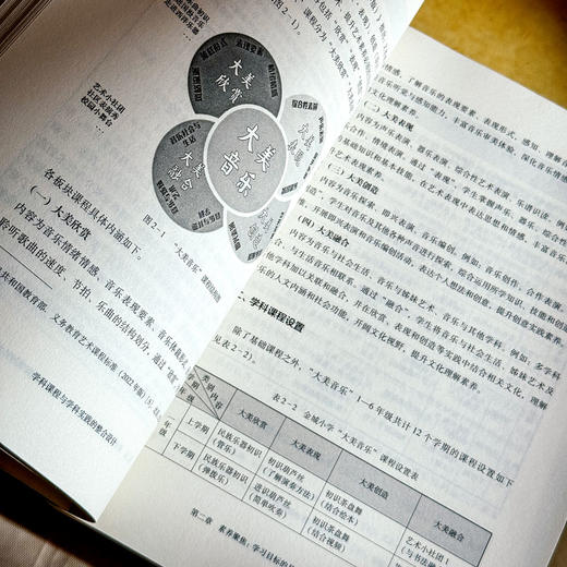 学科课程与学科实践的整合设计 商品图3