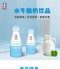 【特价6.9元/3支】南国乳业水牛酸奶饮品 200ml（原味） 商品缩略图1