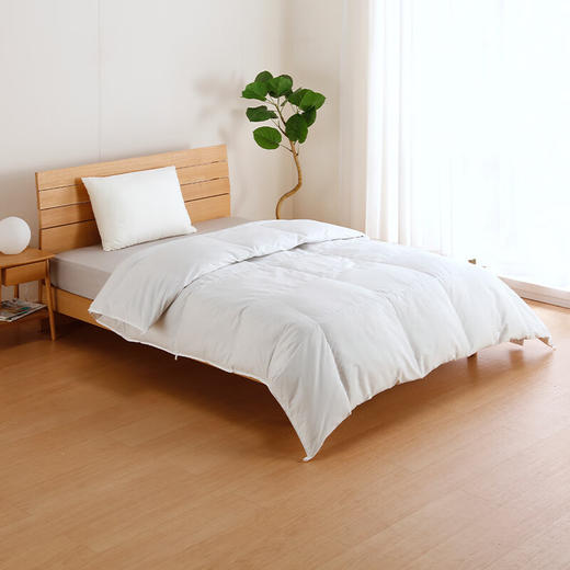 加厚羽绒被GDD93 商品图1