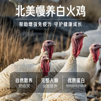 Orijen渴望狗粮 成犬幼犬无谷天然鸡肉进口全价通用犬粮11.4kg效期26/11 商品图3