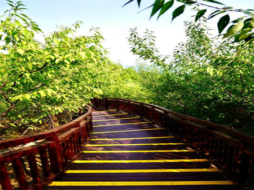 【雁栖湖环湖1日】晚出发·邂逅湖光山色-闯入京郊小瑞士-休闲徒步8-10公里 商品图6