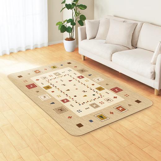  客厅地毯沙发卧室床边毯简约吸湿发热地毯 商品图1