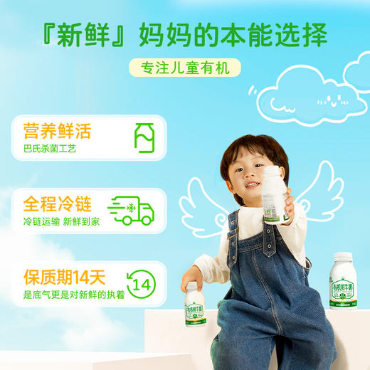 初酪有机鲜牛奶 内蒙古奶源顺丰冷链240g*8瓶 商品图4
