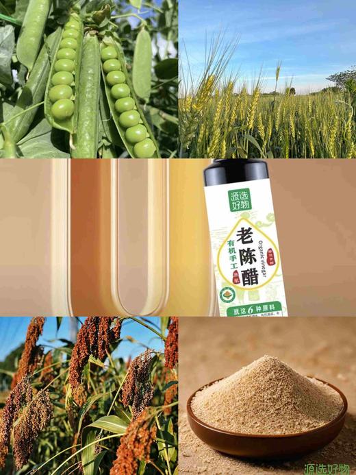 有机老陈醋9.8元1瓶500ml，明天到 商品图1