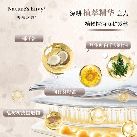 天然之扉洗发水控油蓬松植萃香氛琥珀木香洗发露 商品图6