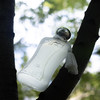 25年新香！玛丽之香 云柔谧语殿藏 Parfums de Marly Valaya Exclusif 分装 商品缩略图3