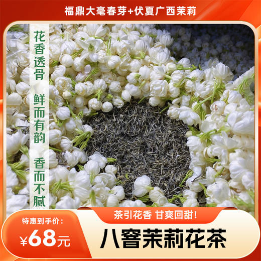 【分销】八窨茉莉花茶  福鼎大毫春芽  鲜灵透骨，冷香持久！茶引花香，甘爽回甜！ 商品图0