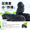 【顺 丰】 西域美农 四川大凉山 自然熟速冻桑葚   清爽不甜腻 低负担轻食  花青素满满 200g/袋  顺丰冷链发货 商品缩略图3