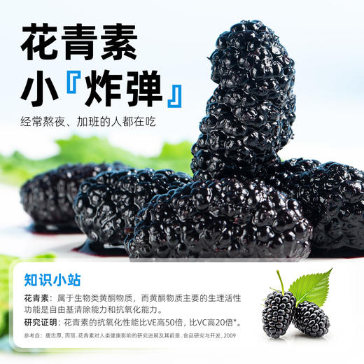 【顺 丰】 西域美农 四川大凉山 自然熟速冻桑葚   清爽不甜腻 低负担轻食  花青素满满 200g/袋  顺丰冷链发货 商品图3