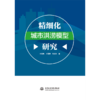 精细化城市洪涝模型研究 商品缩略图1