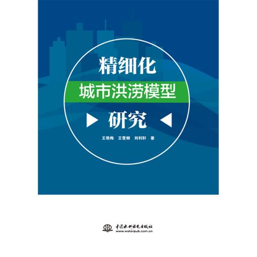 精细化城市洪涝模型研究 商品图1