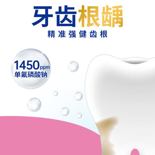 【店铺上新】DENT牙周特护牙膏90g 商品图4