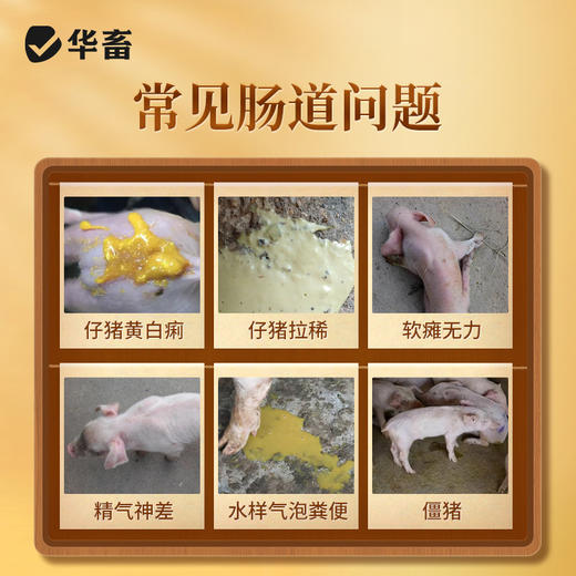 幼畜保命液腹泻拉稀黄白痢精神萎靡 商品图3