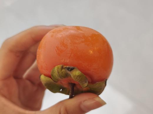 火葫芦柿子 620g/盒 商品图3