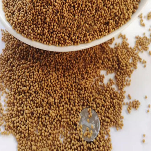 海大鱼饲料 商品图0