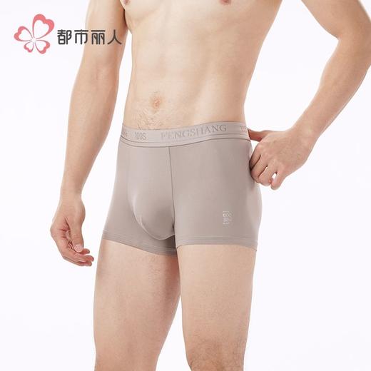 都市丽人内裤男士内裤100S长绒棉内裤明筋平角内裤男内裤FKHH15 商品图2