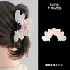 EVER THAMES 醋酸大号抓夹简约时尚气质发饰超仙丝带鲨鱼夹 商品缩略图1