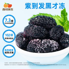 【顺 丰】 西域美农 四川大凉山 自然熟速冻桑葚   清爽不甜腻 低负担轻食  花青素满满 200g/袋  顺丰冷链发货