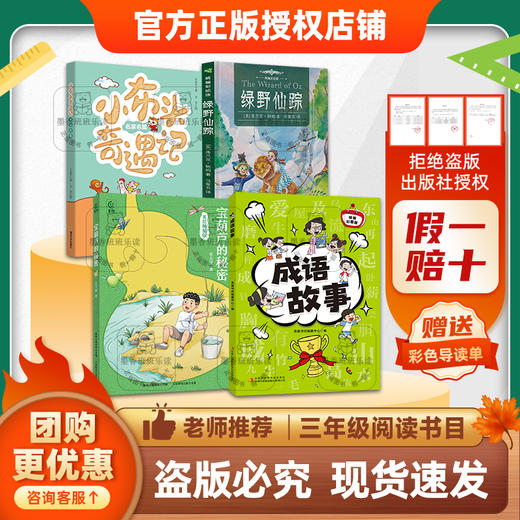 班班25秋三年级【4本书目】《兔子坡》《两个小八路》《小布头奇遇记》《宝葫芦的秘密》《绿野仙踪》《成语故事》+导读单 商品图1