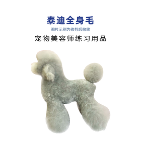 TAA它它泰迪全身毛