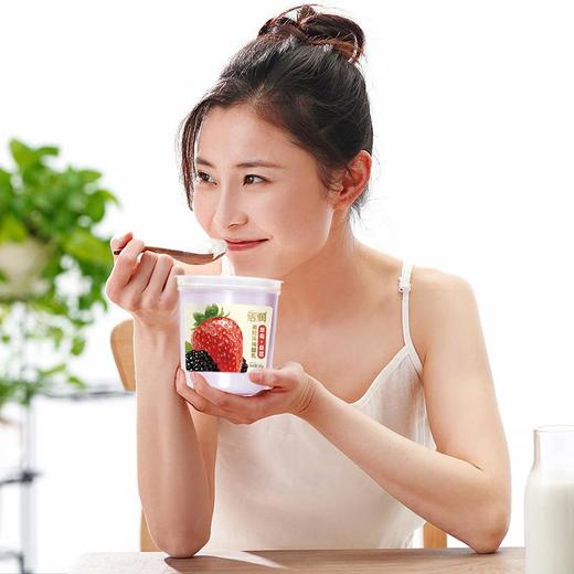 新希望活润草莓+桑葚果粒风味发酵乳340g/杯 商品图5