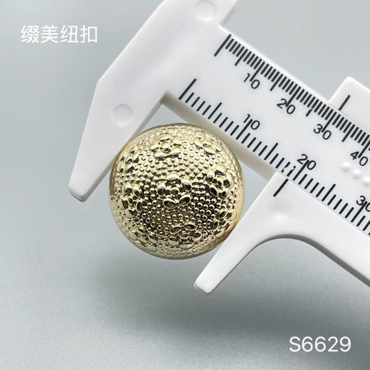 S6629(整包购买) 商品图3