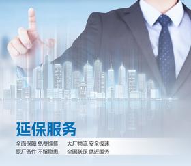 延保服务【仅供咨询】