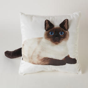 宠物猫咪狗狗抱枕公仔毛绒玩具午睡枕靠垫腰枕3D抱枕