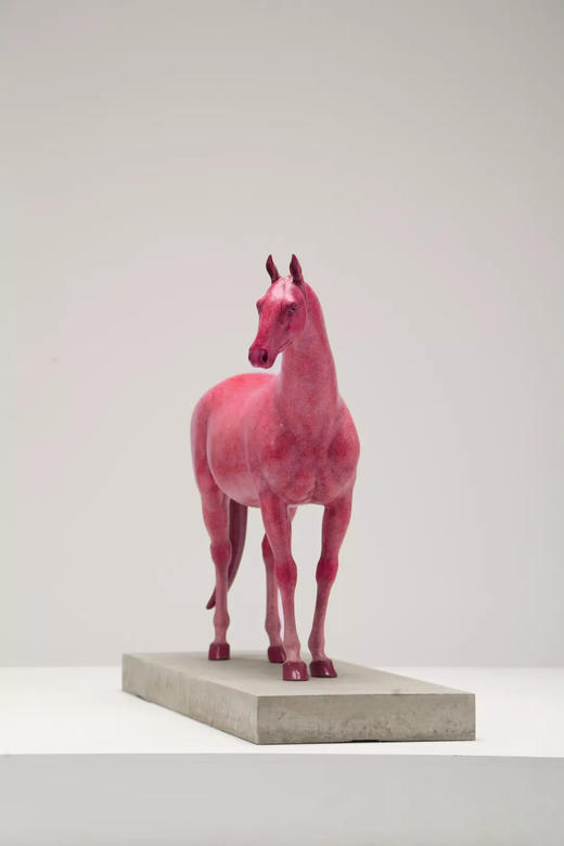 任亮《悟》99版 商品图0