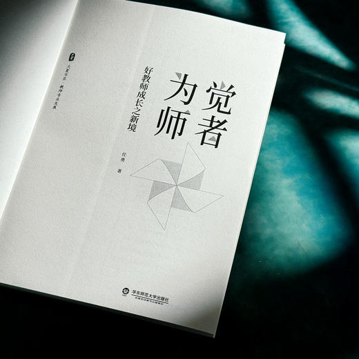 觉者为师 好教师成长之新境 大夏书系 任勇著 教师专业发展 商品图5