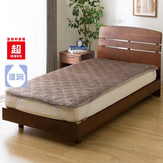 家用床垫软垫卧室用床品枕垫双面床垫超吸湿发热 商品图0