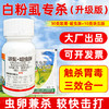 白粉虱专杀虫方案黄条跳甲杀虫杀卵农用杀虫剂呋虫胺联菊啶虫脒 商品缩略图4