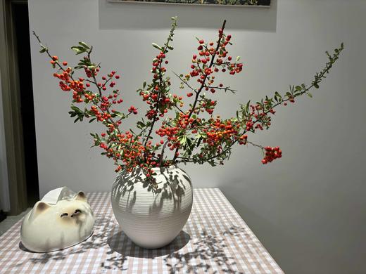 【AB级火把果】一扎约2-3支/份 长约60-65cm（颜色自选） 商品图9