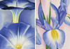 【全新现货】 Fleurs: Coffret l'essentiel / 花卉：精选作品集 礼盒装 【法文原版】 商品缩略图4