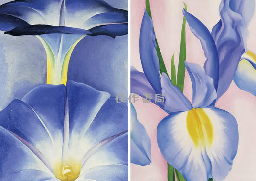 【全新现货】 Fleurs: Coffret l'essentiel / 花卉：精选作品集 礼盒装 【法文原版】 商品图4