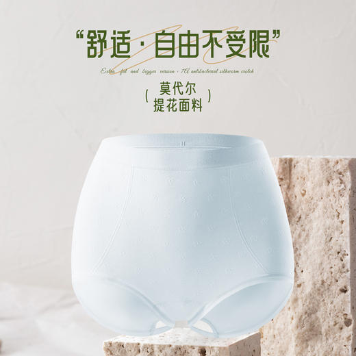 【3条装】女士莫代尔提花面料加肥加大舒适高腰微压收腹【CSL25262】 商品图3