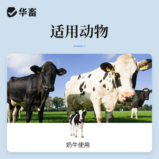 【积分兑换】双丁注射液10支 清热解毒 消痈散结 主治奶牛临床型乳房炎 商品图2