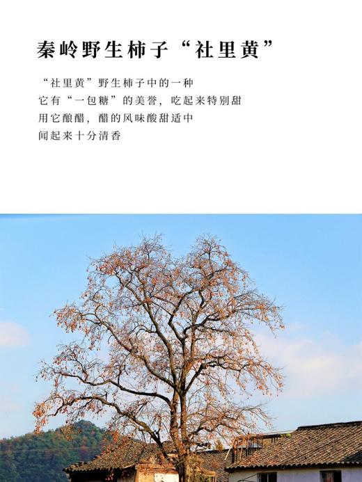 金标：十年古法柿子醋 商品图1