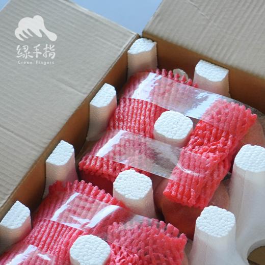 生态黄金蜜桃 | 合作生产*  Ecological peach | Partner Production 商品图4